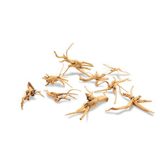 spiderwood M 30-40cm