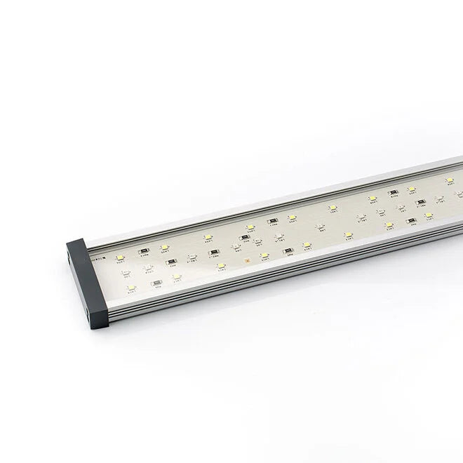Twinstar LED 20B + controller