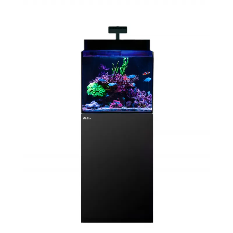 MAX Nano XL G2