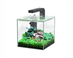 AQUATLANTIS AQUARIUM KUBUS 5 L 18X18.6X18 CM INCL. LED