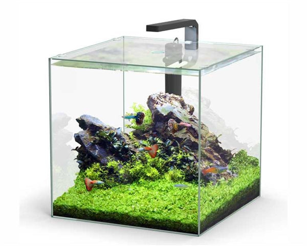 Aquatlantis Aquarium Volglas Kubus 54 L 38.8x38.8x38.8 cm incl. LED