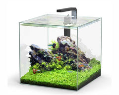 AQUATLANTIS AQUARIUM VOLGLAS KUBUS 54 L 38.8X38.8X38.8 CM INCL. LED