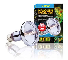 Exo Terra Sun Glo Halogen Lamp