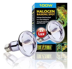 Exo Terra Sun Glo Halogen Lamp