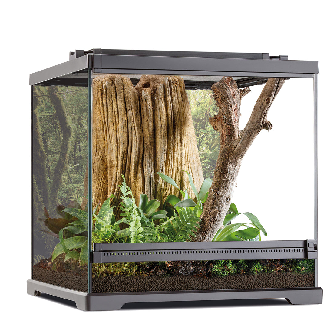 Exoterra frog pijlgifkikker terrarium 45,7x45x45cm