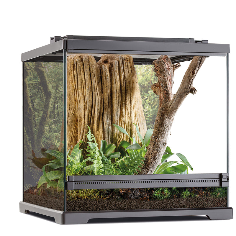 Exoterra frog pijlgifkikker terrarium 45,7x45x45cm