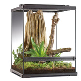 Exoterra frog boomkikker terrarium 45x45x60cm