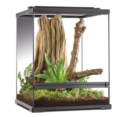 Exoterra frog boomkikker terrarium 45x45x60cm