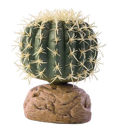 Exo Terra cilinder cactus