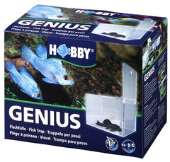 HOBBY GENIUS VISVAL 21X13X15 CM