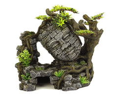 BLUE BELLE PACIFIC ANKOR WAT BONSAI