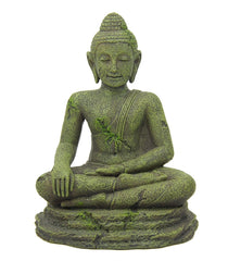 BLUE BELLE PACIFIC BUDDHA 10 CM