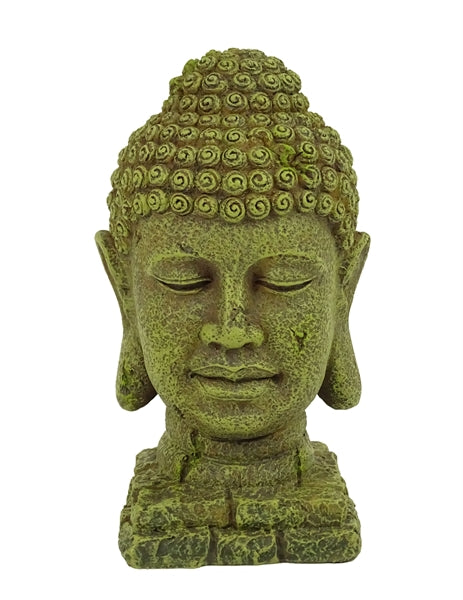 Blue Belle Pacific Buddha 16 cm