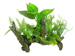 BLUE BELLE PACIFIC AQUASCAPE 2