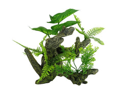BLUE BELLE PACIFIC AQUASCAPE 3