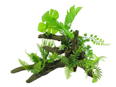 BLUE BELLE PACIFIC AQUASCAPE 5