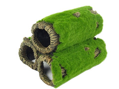 BLUE BELLE PACIFIC MOSSY ROCKS S