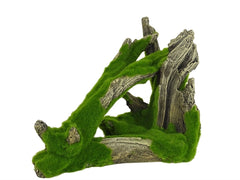 BLUE BELLE PACIFIC MOSSY TRUNKER 1