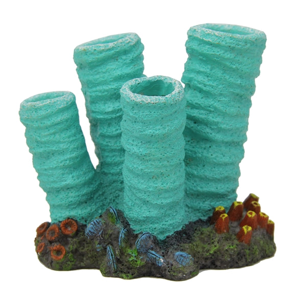 Blue Belle Pacific Coral Disco 2 Peppermint