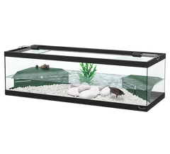 Terratlantis Tortum 100