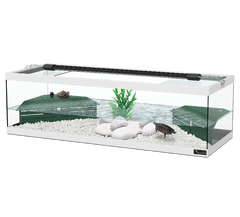 Terratlantis Tortum 100