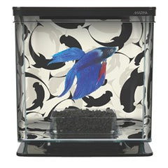 Marina betta kit ying yang 2L