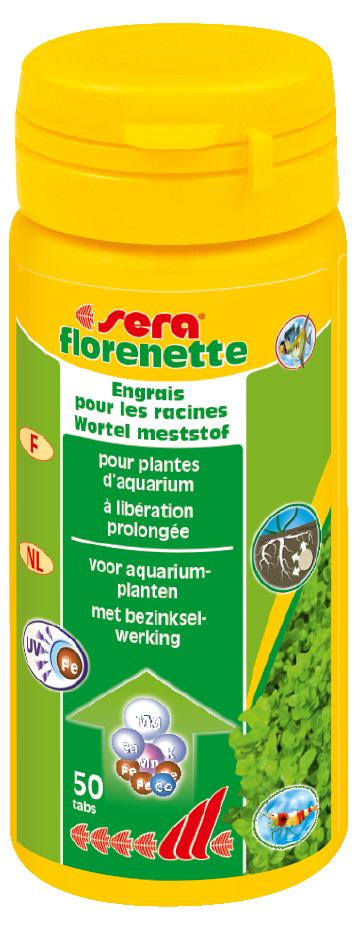 Sera Florenette