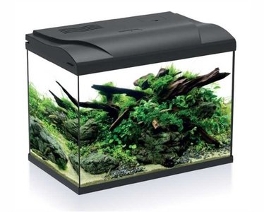 HS Aqua Platy 50 LED