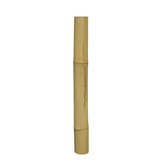 HOBBY TERRANO BAMBOO STIX