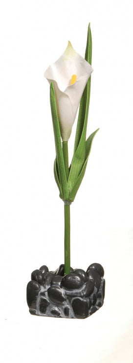 Marina Decor Arum Betta Kit 2L