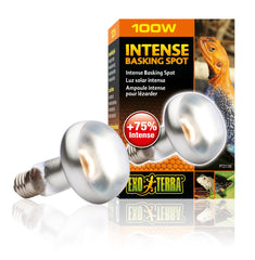 Intense basking spot Exoterra