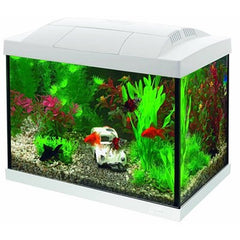 Superfish start 20 goldfish kit