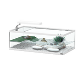 Terratlantis Tortum 55