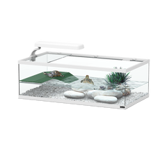 Terratlantis Tortum 55