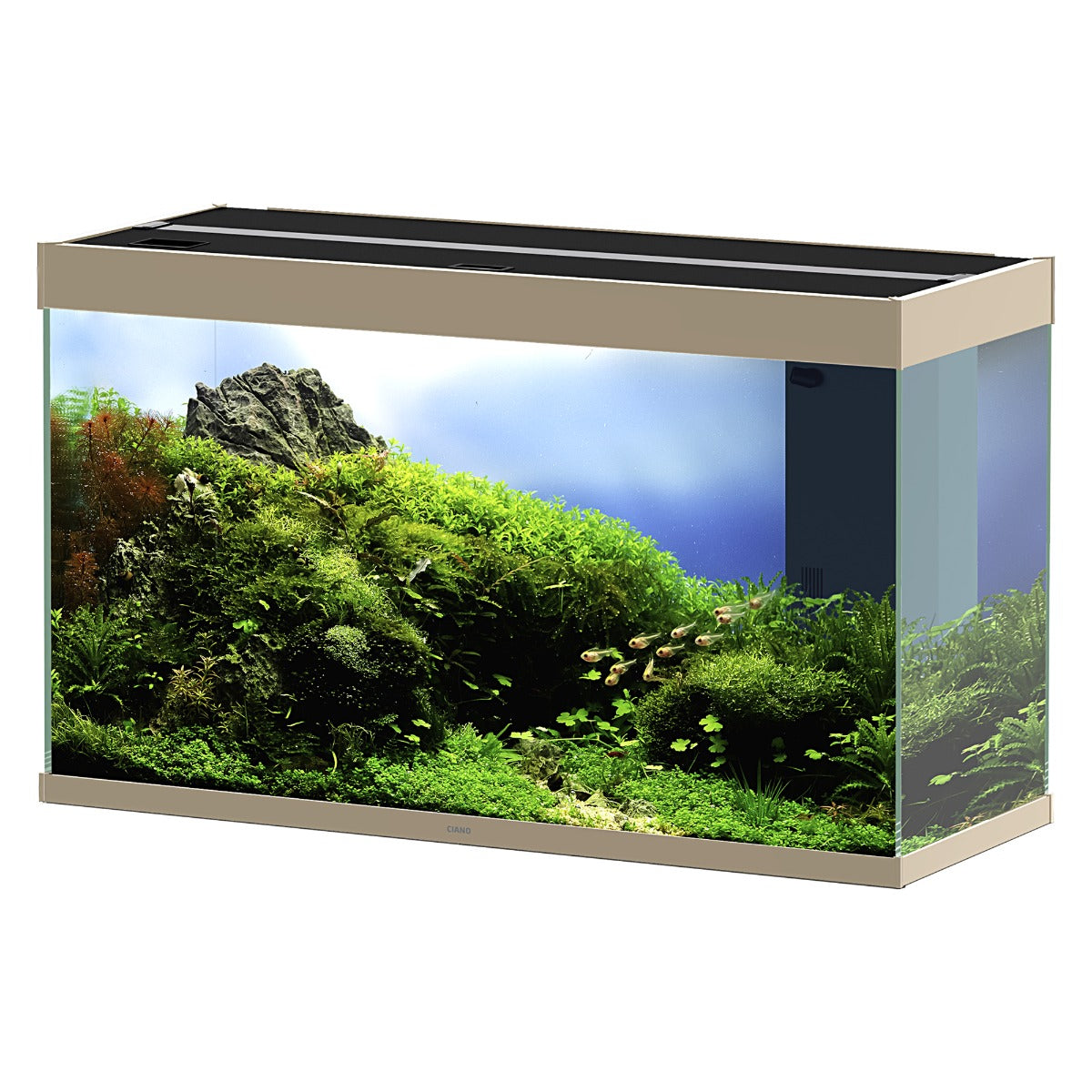 Ciano Emotions Nature Pro 100 New