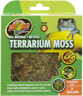 Zoomed terrarium moss