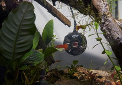 ZOOMED PALUDARIUM HEATER 100W aanbieding op = op