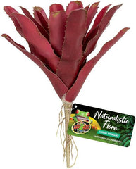 BU-60E FIREBALL BROMELIAD 16CM