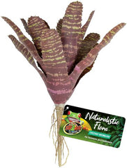 BU-61E CHESTNUT BROMELIAD 14CM