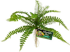 BU-63E SWORD FERN 13CM