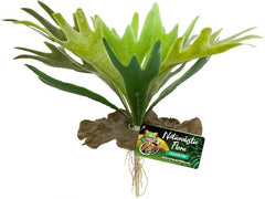BU-65E STAGHORN FERN 24CM