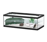 Terratlantis Tortum 75