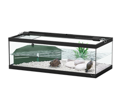 Terratlantis Tortum 75