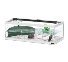 Terratlantis Tortum 75