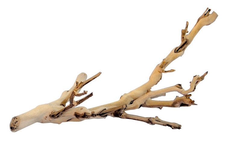 Exo Terra Forest Branch