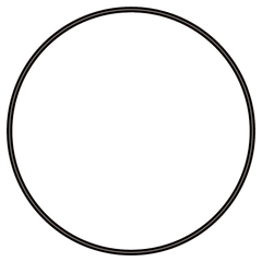 sera O-afdichtingsring voor sera UV-C-systeem 5 W 62 mm