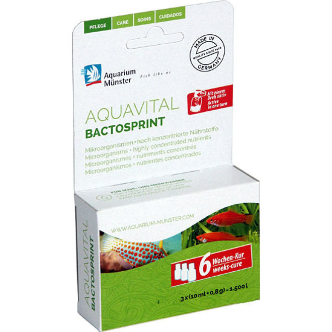 Aquarium Munster Aquavital Bactosprint 3x10ml + 8 g, bacteriën voor 6 weken