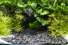 DENNERLE NATURAL GRAVEL KONGO