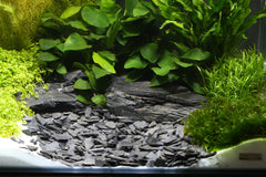 DENNERLE NATURAL GRAVEL KONGO