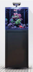 reef 125 new model